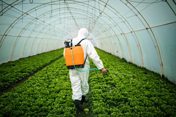 Best Mosquito Control Services  in Kelly Ridge, CA