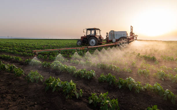Best Insect Control  in Kelly Ridge, CA