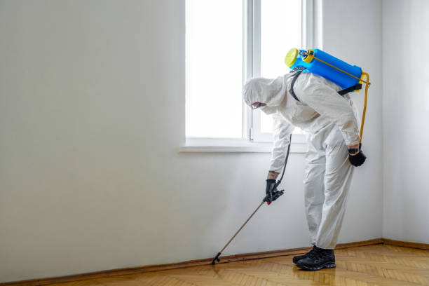 Best Pest Control Near Me in Kelly Ridge, CA