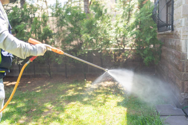 Best Flea Control Services  in Kelly Ridge, CA