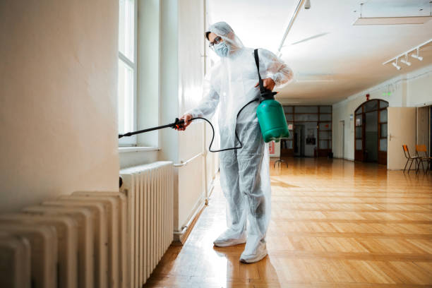Best Emergency Pest Control  in Kelly Ridge, CA